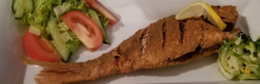 Snapper Fish